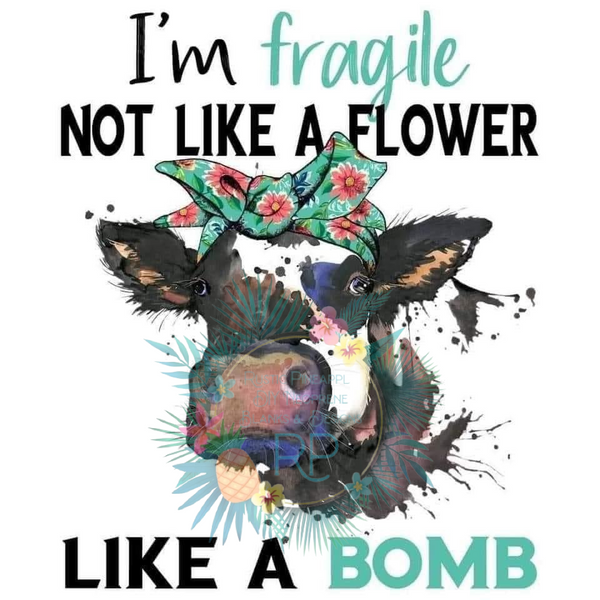 Fragile Like a Bomb T-Shirt Transfer