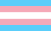 Trans Flag 20oz Straight Transfer